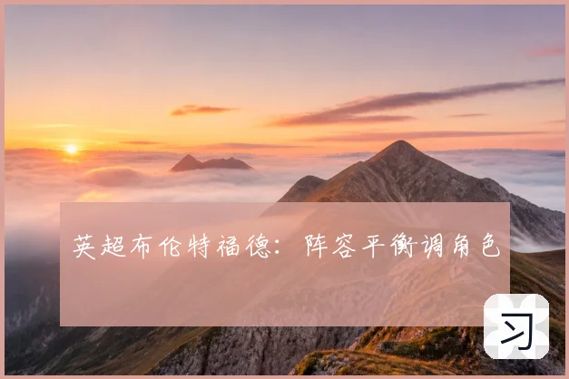 英超布伦特福德：阵容平衡调角色