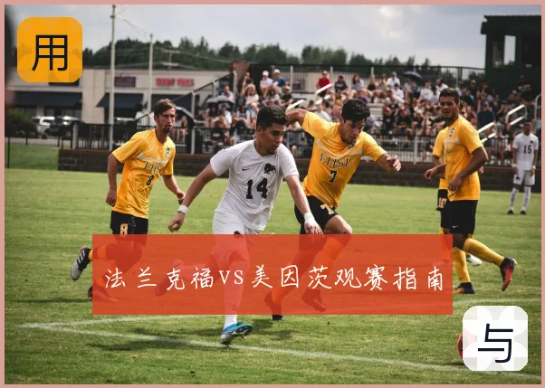 法兰克福vs美因茨观赛指南